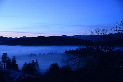 DSC_1080 (Large).JPG